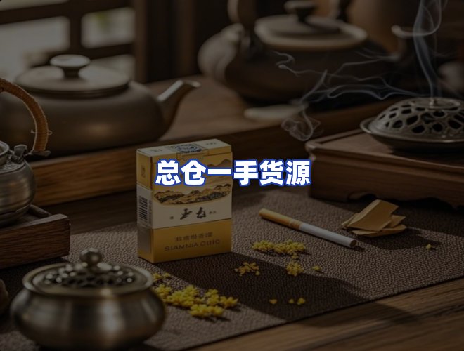 专业团队